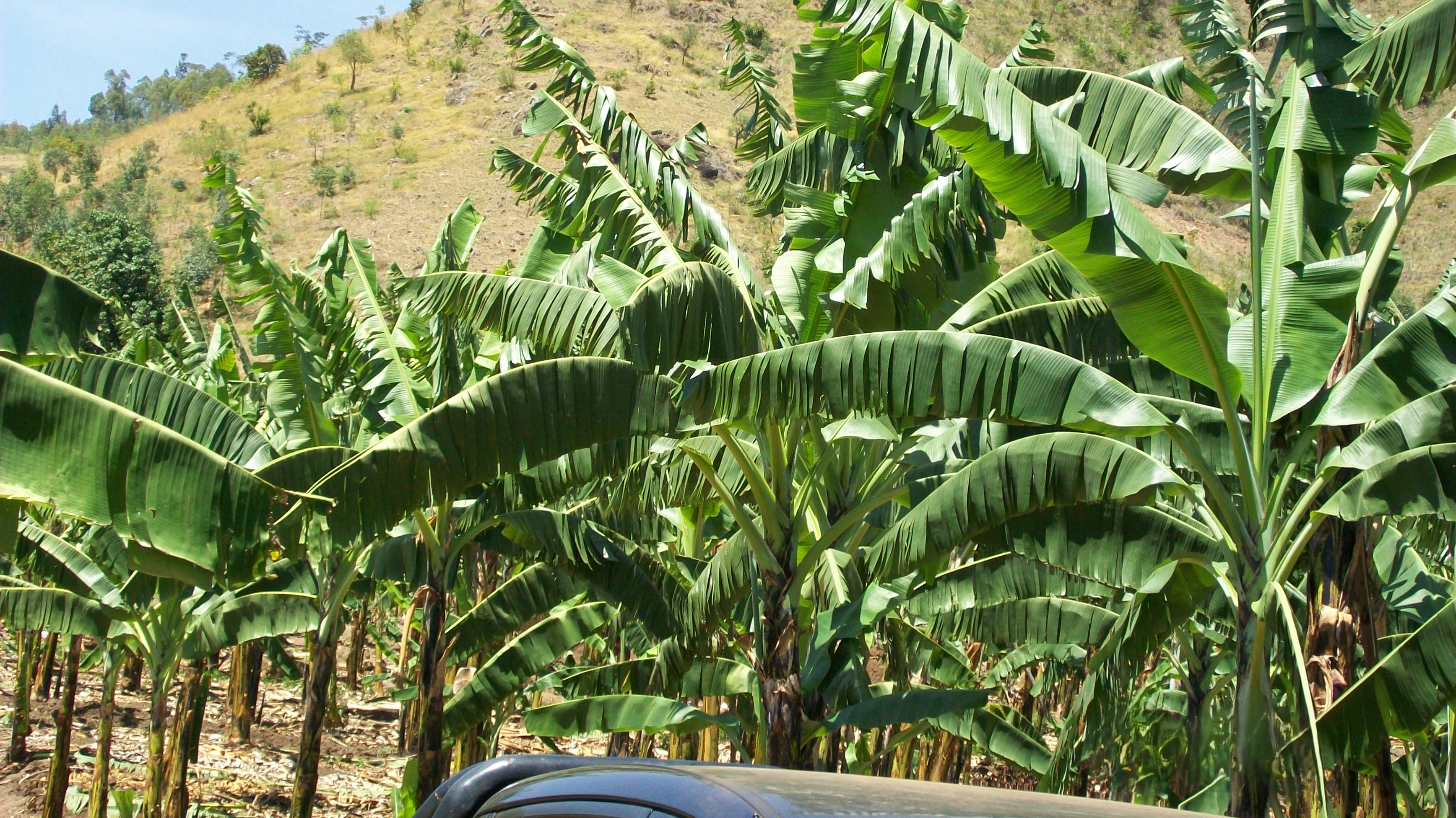 Apiculture technology demonstration