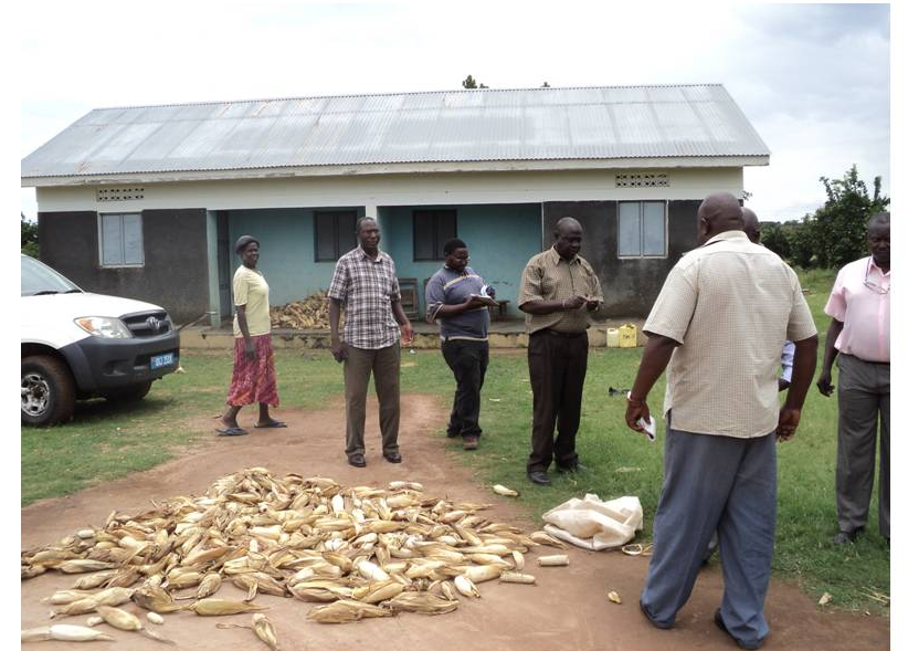Community members at a project field site