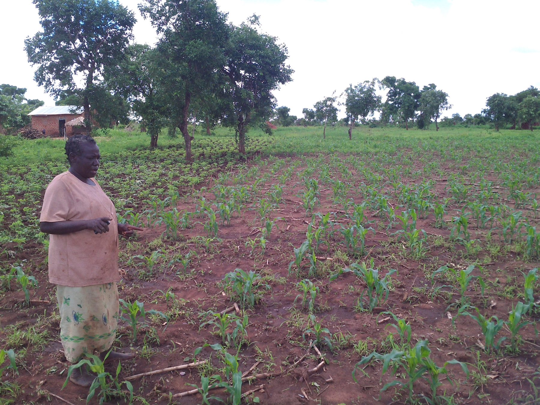 Field visit beside a water site