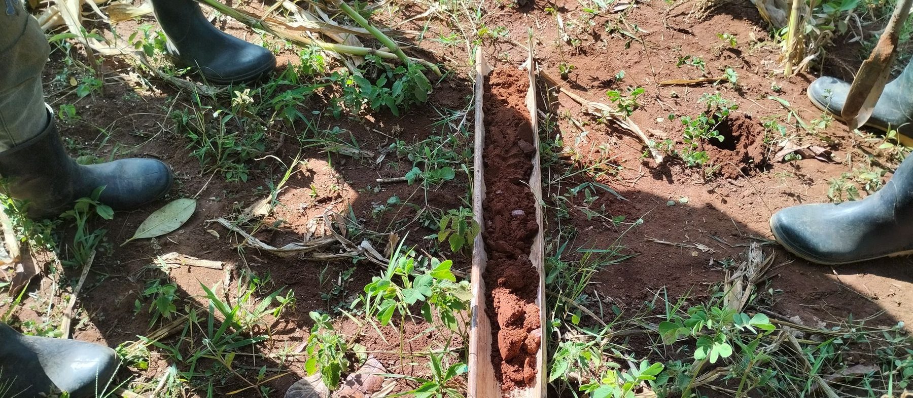 Soil assessment in the field