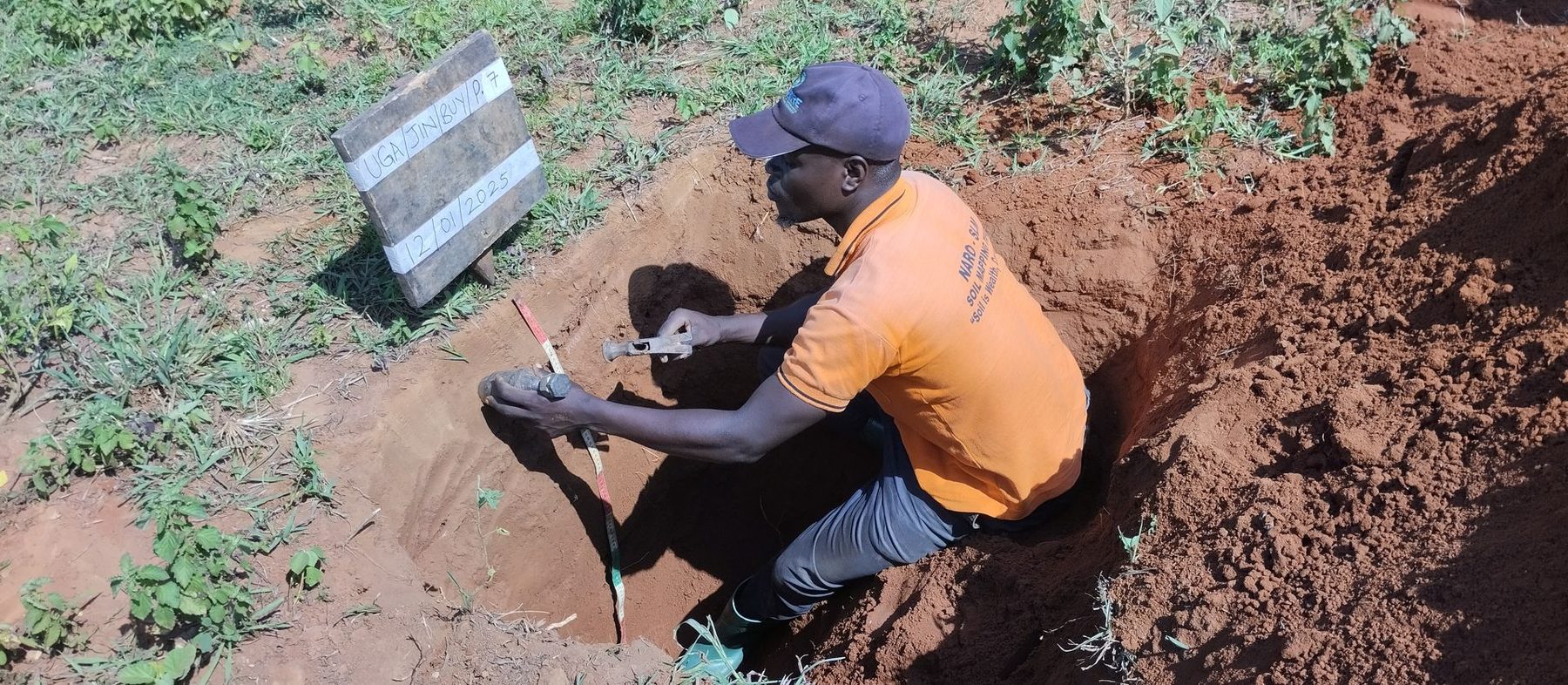 Describing a soil profile