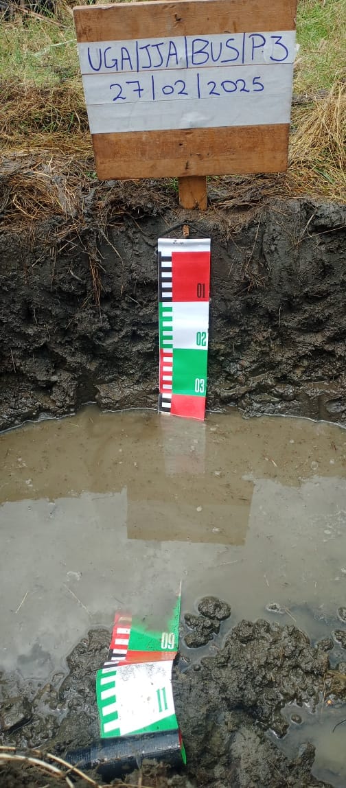 Streambank vegetation monitoring