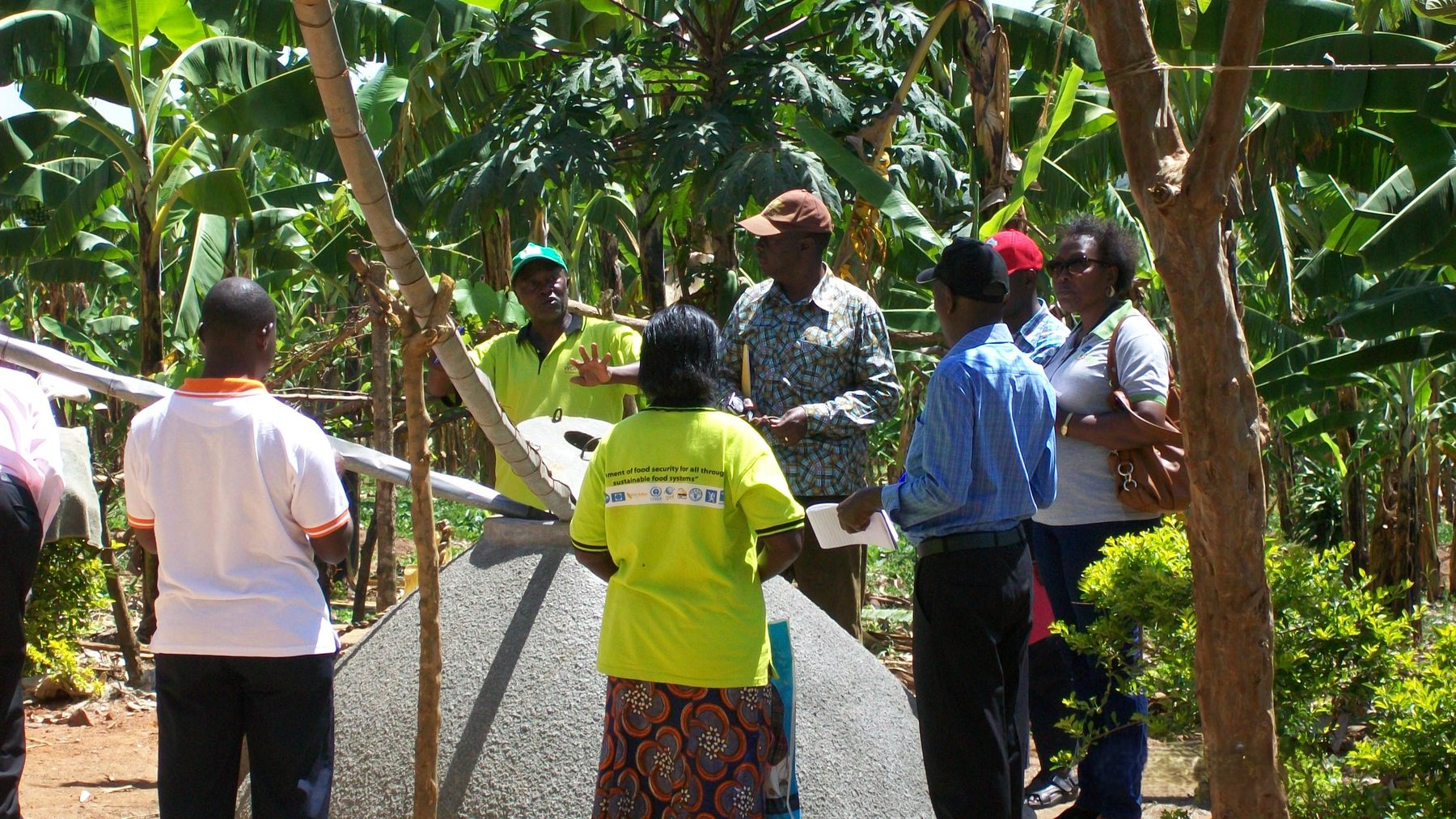 Soil assessment in the field
