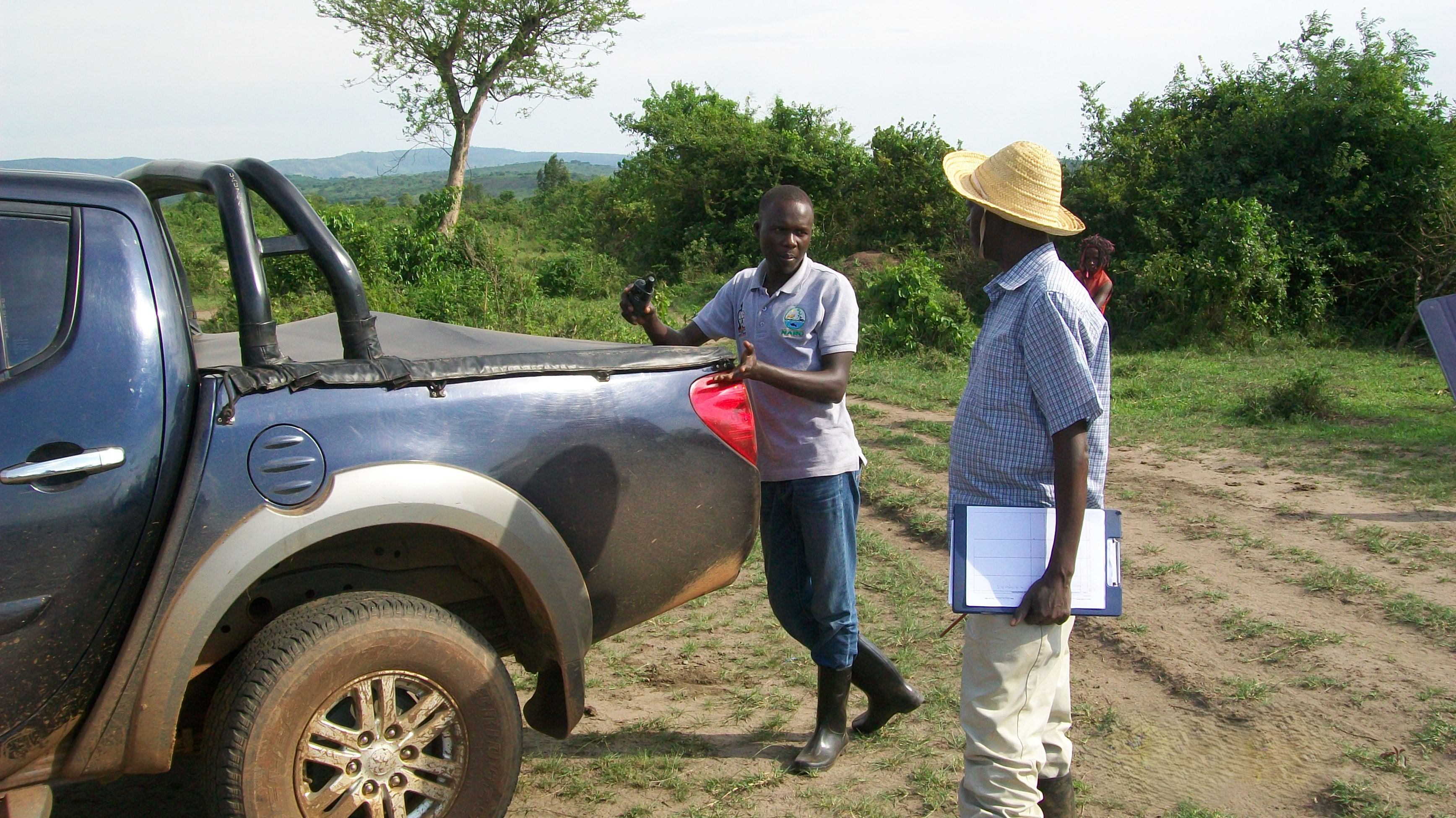 Programme planning and review meeting